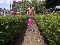 Walkingingarden