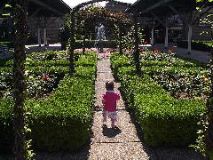 Runninginthegarden